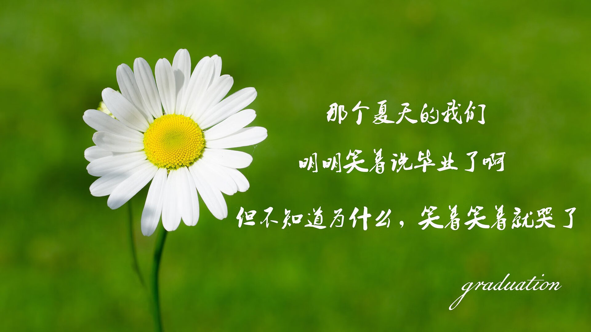 纽卡斯尔联主场2-0战胜曼联，伊萨克与乔林顿建功，纽卡斯尔联队0304