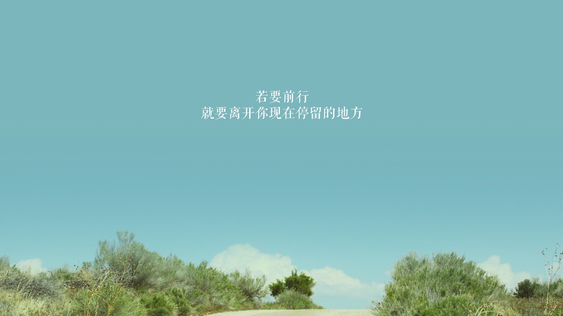 足球夺目瞬间：全球体坛大咖闪耀，体育足坛