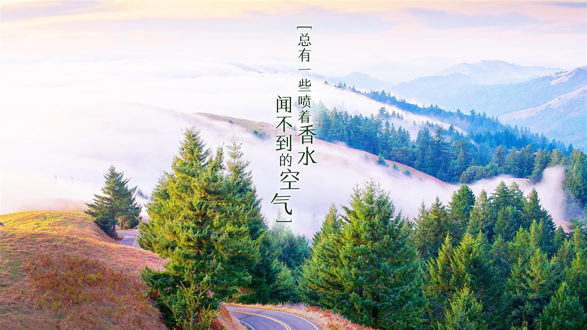 爱游戏综合娱乐-体育赛事多渠道传播方案设计，体育赛事的宣传方法