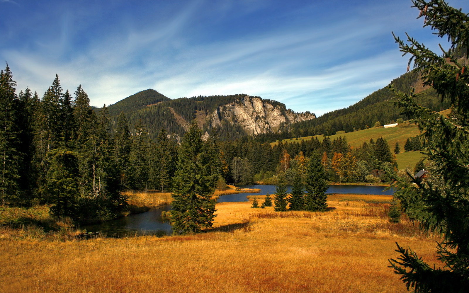 爱游戏在线登录入口-美洲杯明星快闪：每一脚都令人叹为观止！，美洲杯歌曲