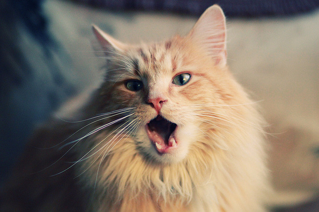 爱游戏下载-足球慈善义赛筹款破纪录，社会反响热烈，足球捐赠