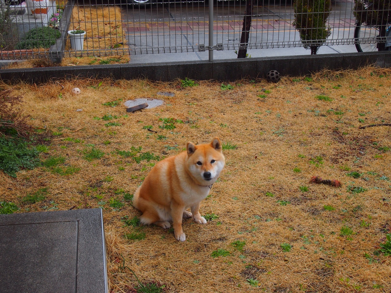 AYX SPORTS-雷霆发布球迷专属月刊内容丰富图文并茂，雷霆球迷很热情